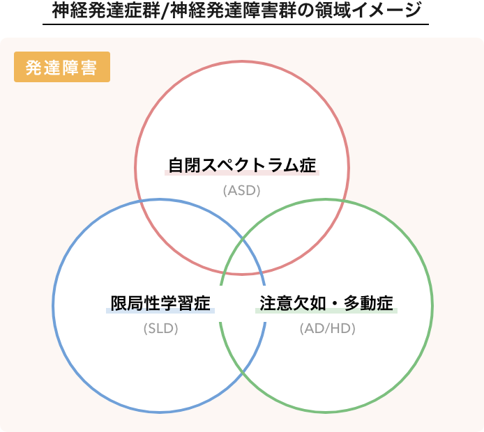 神経発達賞群/神経発達障害群の領域イメージ