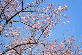 別れの時期に生じる不調とその対処策とは？