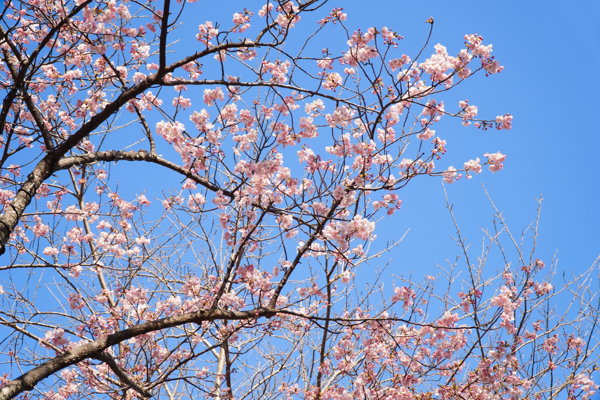別れの時期に生じる不調とその対処策とは？